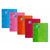 Ringbuch Oxford EUROPEANBINDER Bunt A4+ (10 Stück)