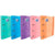 Ringbuch Oxford EUROPEANBINDER Bunt A4+ (10 Stück)