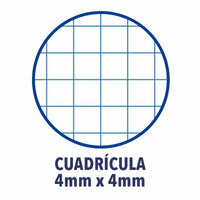 Notizbuch ENRI Blau A4 (10 Stück)