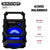 Bluetooth Lautsprecher mit Karaoke Mikrofon Colorbaby
