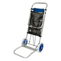 Mehrzweck-Strandwagen Colorbaby Aluminium