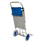 Mehrzweck-Strandwagen Colorbaby Aluminium
