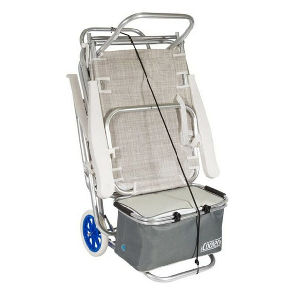 Mehrzweck-Strandwagen Colorbaby Aluminium