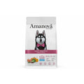 Hundefutter Amanova Adult Sensitive Salmon Deluxe