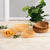 Lebensmittelschalen-Set Quid Naturalia Braun 4,5 x 23 cm 50 Stück