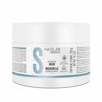 Haarmaske Salerm DERMOCALM 250 ml