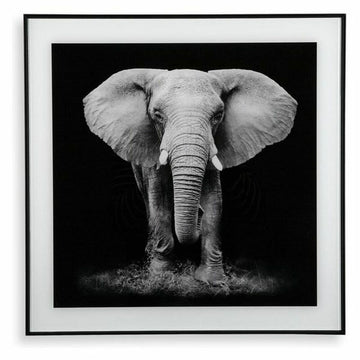 Bild Versa Kristall 2 x 50 x 50 cm