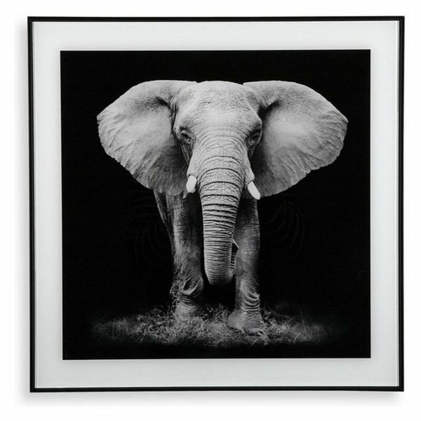 Bild Versa Kristall 2 x 50 x 50 cm