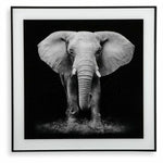 Bild Versa Kristall 2 x 50 x 50 cm