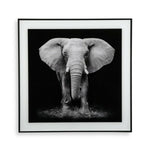 Bild Versa Kristall 2 x 50 x 50 cm