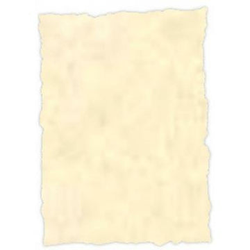 Pergamentpapier Michel Topas A4 25 Stücke