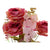 Deko-Blumen DKD Home Decor Weiß Orange Rosa Pfirsich 17 x 17 x 44 cm (4 Stück)