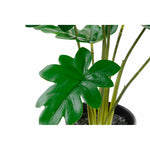 Dekorationspflanze DKD Home Decor grün PE (20 x 20 x 40 cm)