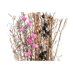 Strauss DKD Home Decor Rosa Braun Weiß Getrocknete Blume (2 Stück) (30 x 30 x 65 cm)