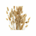 Strauss DKD Home Decor Beige Braun Getrocknete Blume (12 x 12 x 76 cm) (2 Stück)