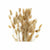 Strauss DKD Home Decor Beige Braun Getrocknete Blume (12 x 12 x 76 cm) (2 Stück)