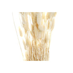 Strauss DKD Home Decor Beige Braun Getrocknete Blume (12 x 12 x 76 cm) (2 Stück)