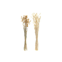 Strauss DKD Home Decor Beige Braun Getrocknete Blume (12 x 12 x 76 cm) (2 Stück)