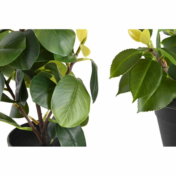 Dekorationspflanze DKD Home Decor grün PP PE Ficus (2 Stück) (21 x 18 x 30 cm)