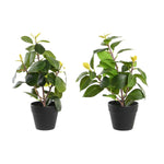 Dekorationspflanze DKD Home Decor grün PP PE Ficus (2 Stück) (21 x 18 x 30 cm)