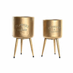 Satz Blumentöpfe DKD Home Decor 25,5 x 25,5 x 44 cm Metall (2 Stück)