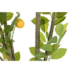 Baum DKD Home Decor Zitronenbaum Polyester Polypropylen (90 x 90 x 180 cm)