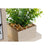 Fotorahmen Home ESPRIT natürlich Holz MDF Skandinavisch 25 x 7 x 19 cm
