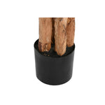 Dekorationspflanze Home ESPRIT Polyäthylen Zement Bananenpflanze 90 x 90 x 290 cm