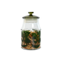 Set mit 3 Kanistern Home ESPRIT grün Kristall 1,2 L 3 Stücke