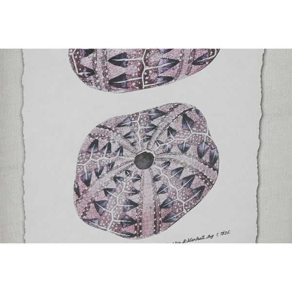 Bild Home ESPRIT Kristall Tanne 35 x 2 x 45 cm