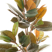 Dekorationspflanze PVC Eisen Ficus 36 x 37 x 90 cm
