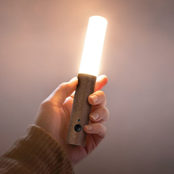 LED Lampe mit Bewegungssensor EDM 32158 Aufladbar Bewegungsmelder