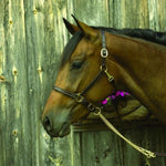 Damenring Majorica 17218.01.1.913.010.1