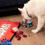 Futternapf für Hunde Marvel Melamine 410 ml