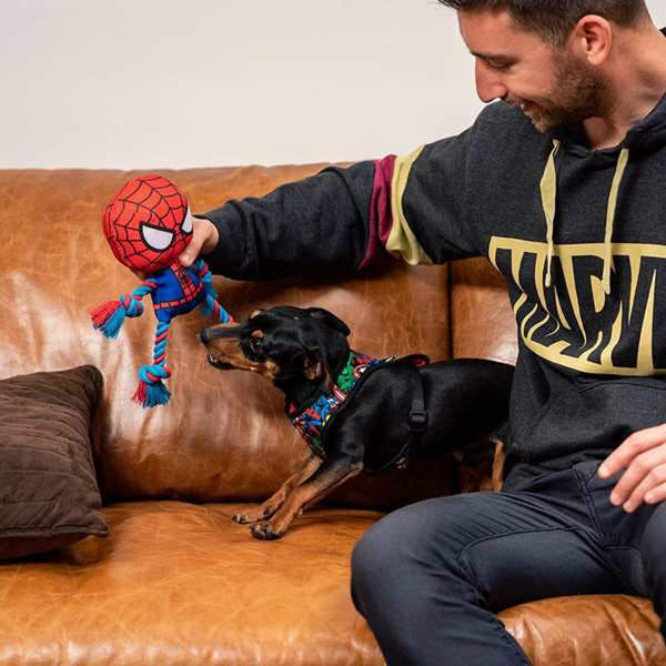 Hundespielzeug Spider-Man