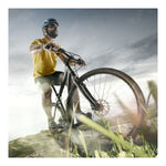 Kabel mit Vorhängeschloss Ferrestock