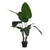 Dekorationspflanze Ibergarden BRS-ADG146 Kunststoff Eisenkabel Paradiesvogelblume 100 x 100 x 100 cm