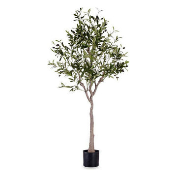 Dekorationspflanze Ibergarden OLIVO Olivenbaum 73 x 120 x 73 cm Kunststoff (Restauriert A)