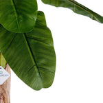 Dekorationspflanze Ibergarden Kunststoff Eisenkabel Bananenpflanze 80 x 120 x 80 cm