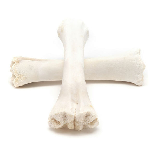 Hundesnack Gloria Rindfleisch Knochen Kalzium 20 Stück
