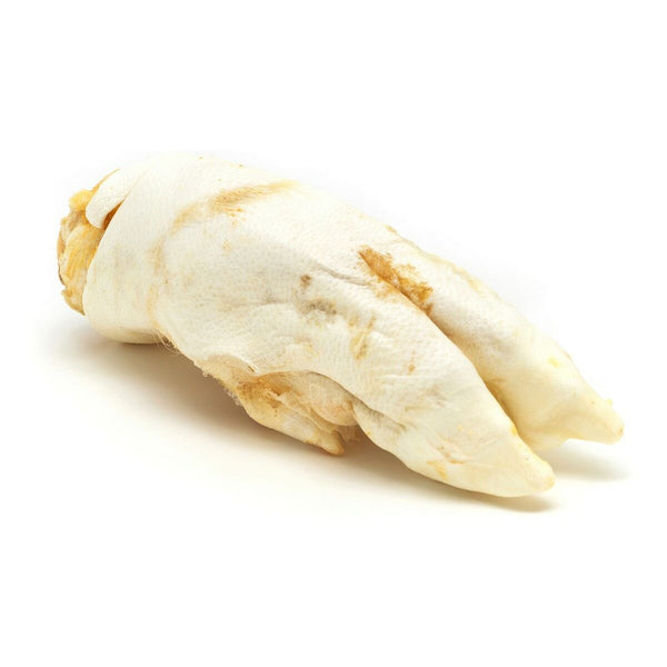 Hundesnack Gloria Schwein Füße