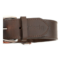 Hundehalsband Gloria Braun 60 cm (60 x 4 cm)