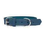 Hundehalsband Gloria Oasis Blau 35 cm (1,2 x 35 cm)