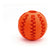 Hundespielzeug Gloria Zahnpflege 7 cm Bunt M