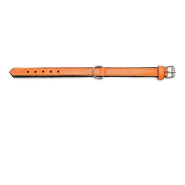 Hundehalsband Gloria Polsterung Orange 30 cm (30 x 1,5 cm)