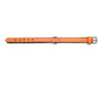 Hundehalsband Gloria Polsterung Orange 40 cm (40 x 2 cm)