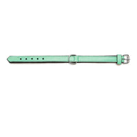 Hundehalsband Gloria Polsterung grün 55 cm (55 x 2,5 cm)