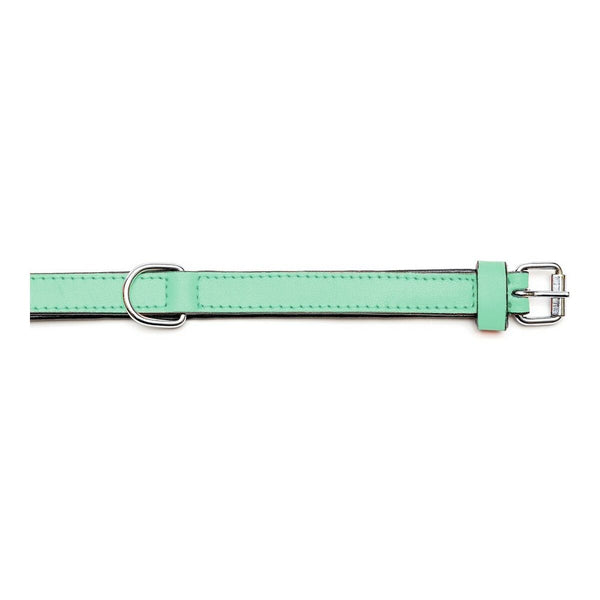 Hundehalsband Gloria Polsterung grün 55 cm (55 x 2,5 cm)