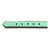 Hundehalsband Gloria Polsterung grün 55 cm (55 x 2,5 cm)