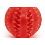 Hundespielzeug Gloria Zahnpflege 7 cm Bunt TPR